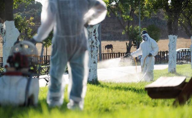 West Nile Virus warning as the mosquito population in Andalucía has increased this year